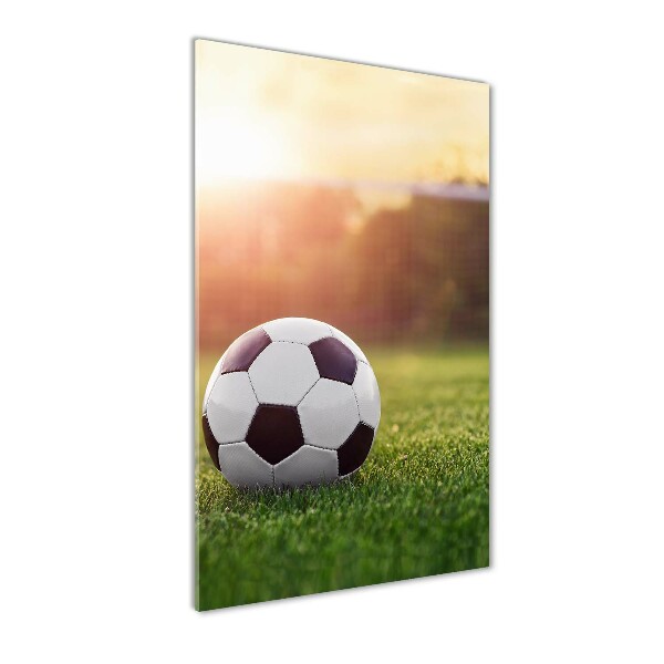 Glasbild vertikales Fußball