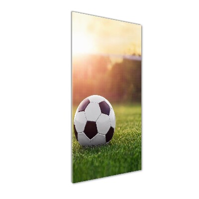 Glasbild vertikales Fußball