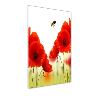 Foto auf glas vertikales Feldmohn