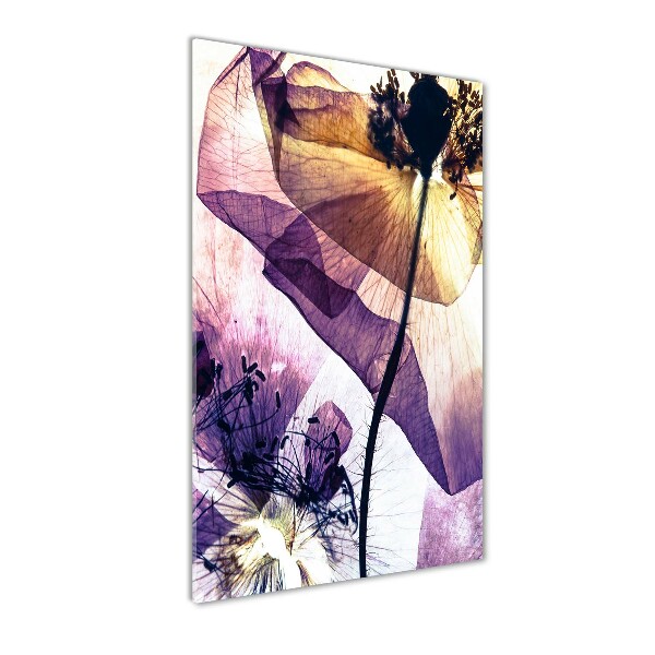 Bild aus glas vertikales Mohnblumen