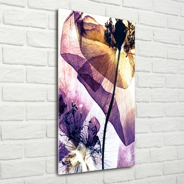 Bild aus glas vertikales Mohnblumen