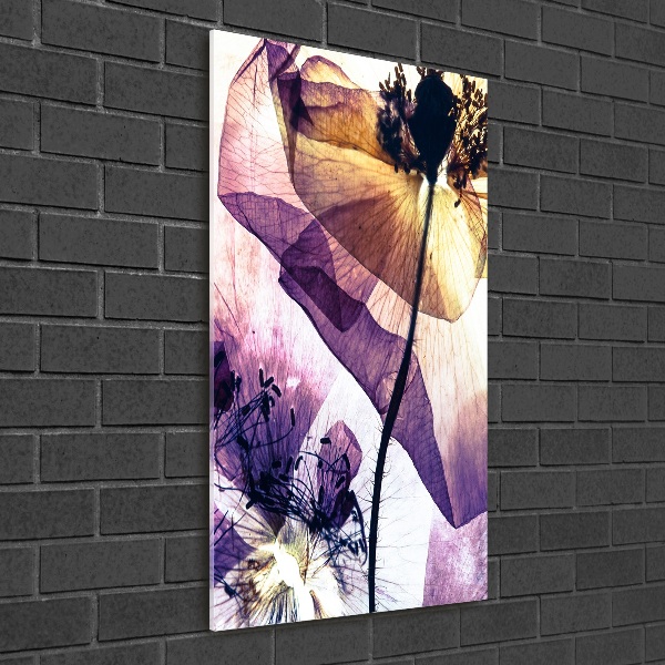 Bild aus glas vertikales Mohnblumen