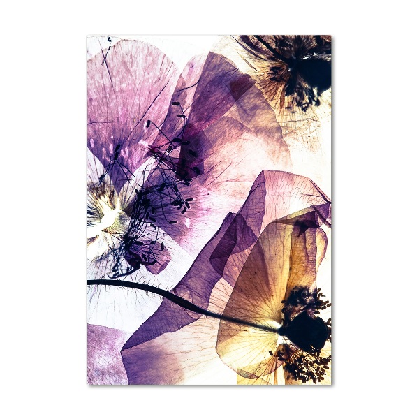 Bild aus glas vertikales Mohnblumen