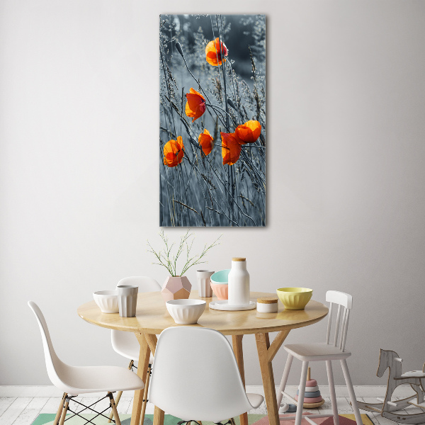 Glasbild vertikales Feldmohn
