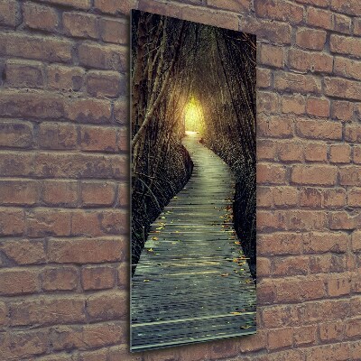 Foto auf glas vertikales Pfad im Wald