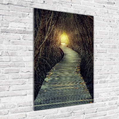 Foto auf glas vertikales Pfad im Wald