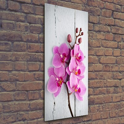 Glasbild vertikales Rosa Orchidee
