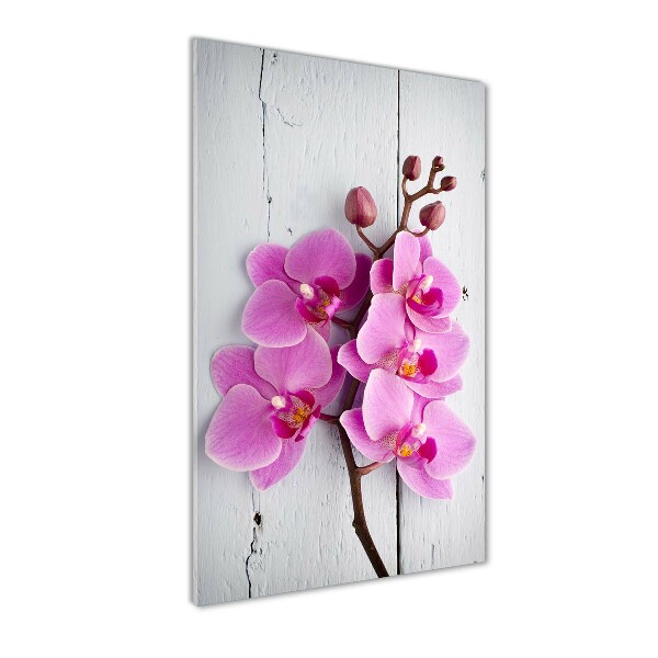 Glasbild vertikales Rosa Orchidee