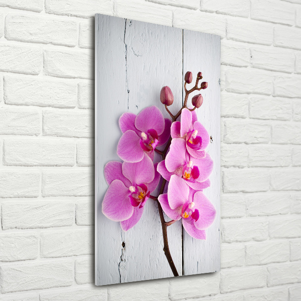 Glasbild vertikales Rosa Orchidee