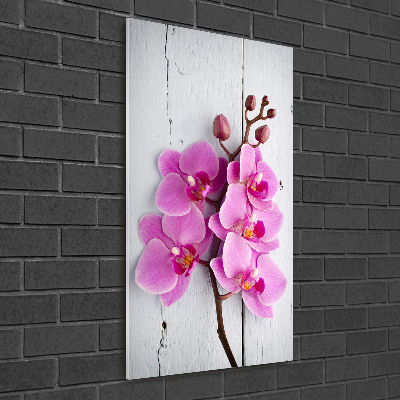 Glasbild vertikales Rosa Orchidee