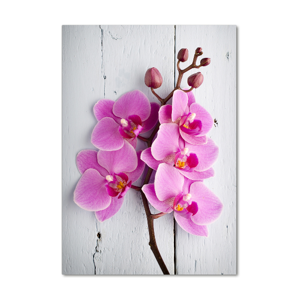 Glasbild vertikales Rosa Orchidee