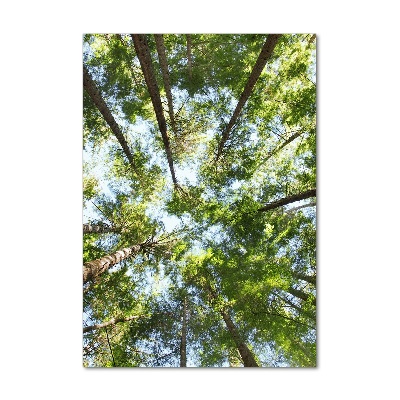 Glasbild vertikales Baumkrone