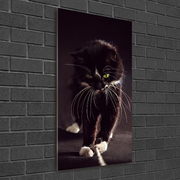 Foto auf glas vertikales Schwarze Katze