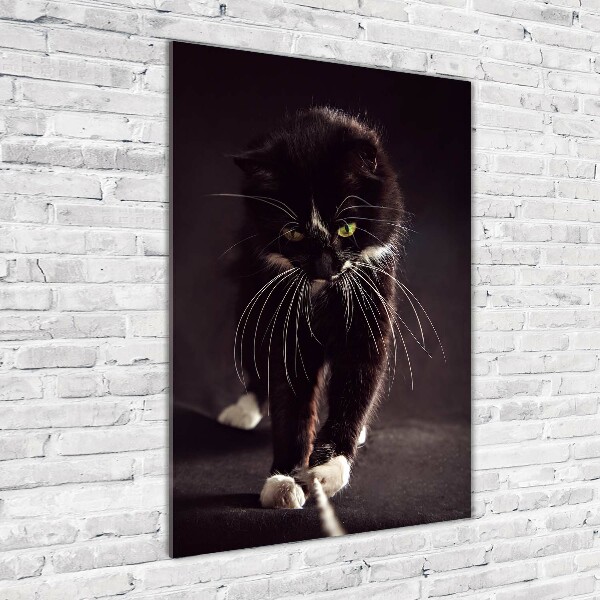 Foto auf glas vertikales Schwarze Katze