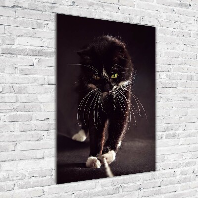 Foto auf glas vertikales Schwarze Katze