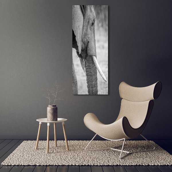 Bild aus glas vertikales Elefant