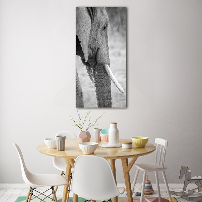 Bild aus glas vertikales Elefant