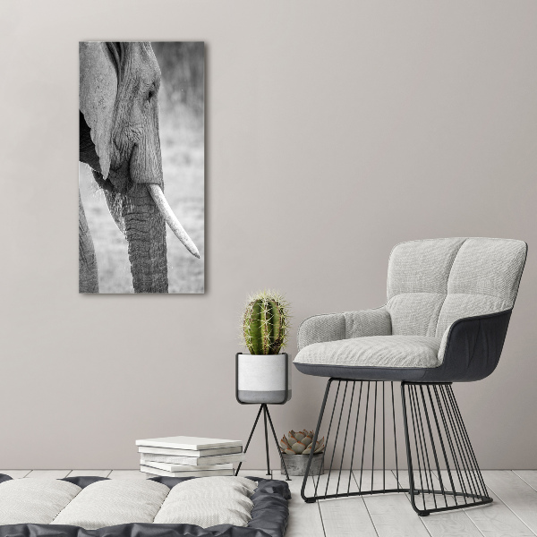 Bild aus glas vertikales Elefant