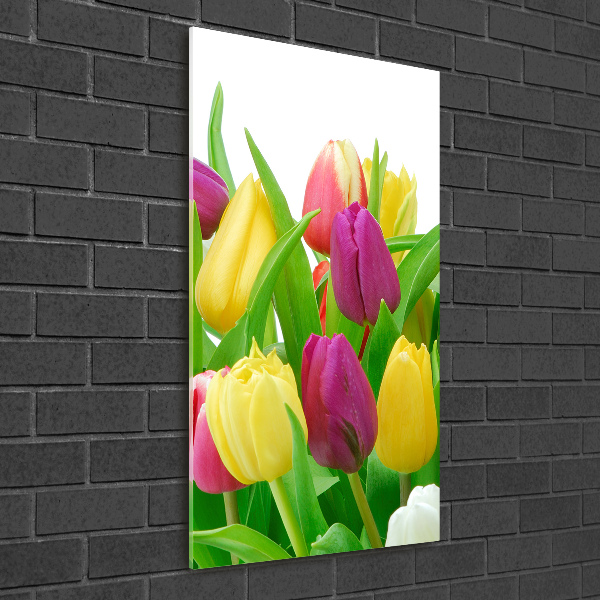 Bild aus glas vertikales Bunte Tulpen