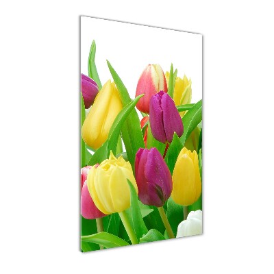 Bild aus glas vertikales Bunte Tulpen