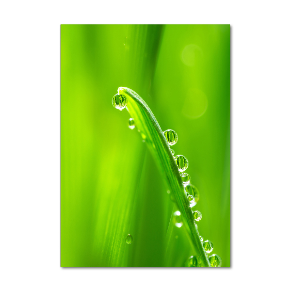 Foto auf glas vertikales Grashalme