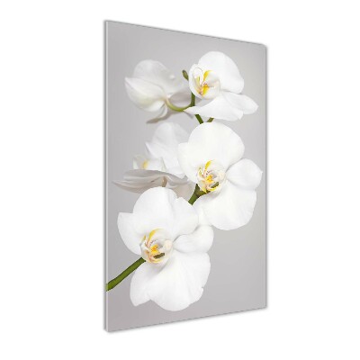 Glasbild vertikales Weiße Orchidee