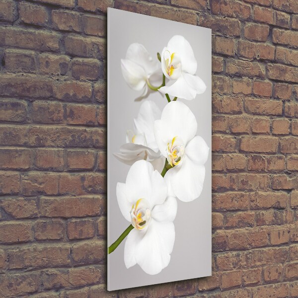 Glasbild vertikales Weiße Orchidee