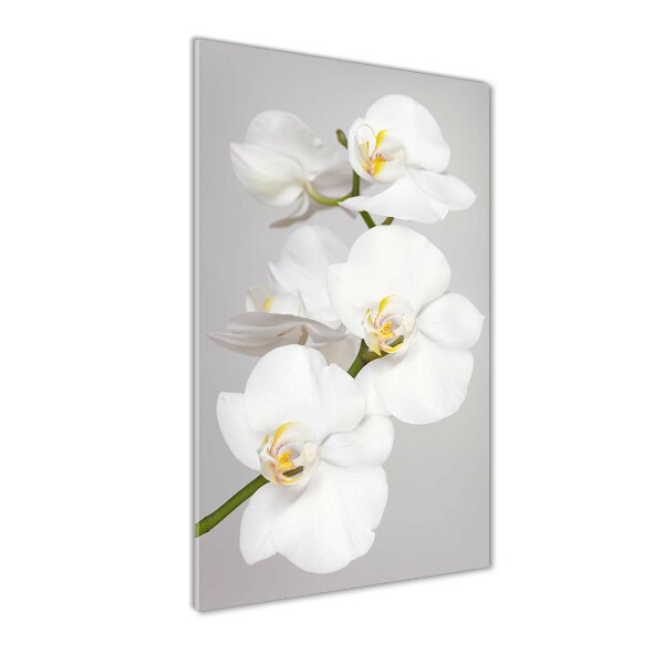 Glasbild vertikales Weiße Orchidee