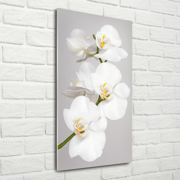 Glasbild vertikales Weiße Orchidee