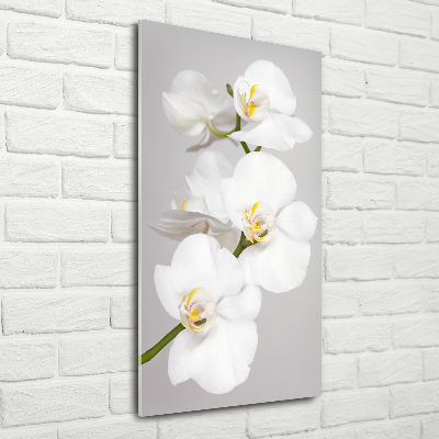Glasbild vertikales Weiße Orchidee