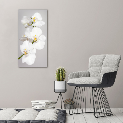 Glasbild vertikales Weiße Orchidee