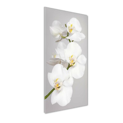 Glasbild vertikales Weiße Orchidee
