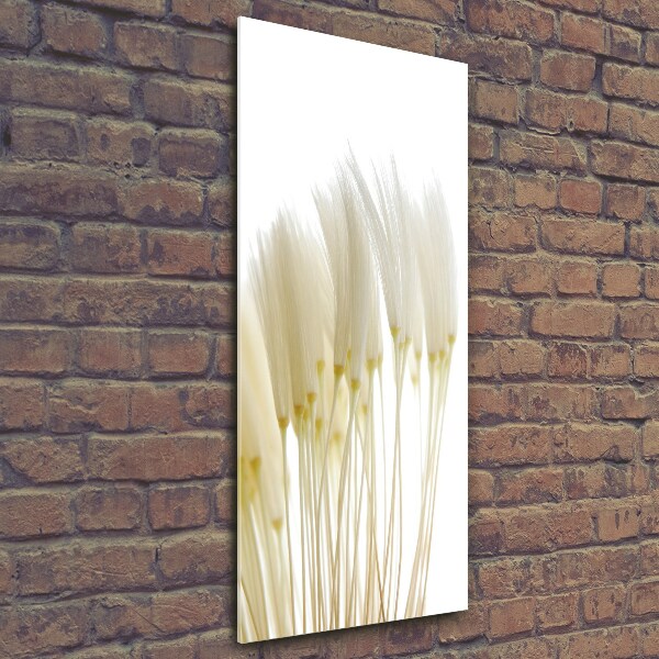 Bild aus glas vertikales Löwenzahnsamen