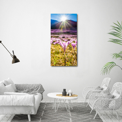 Glasbild vertikales Krokusse in den Bergen