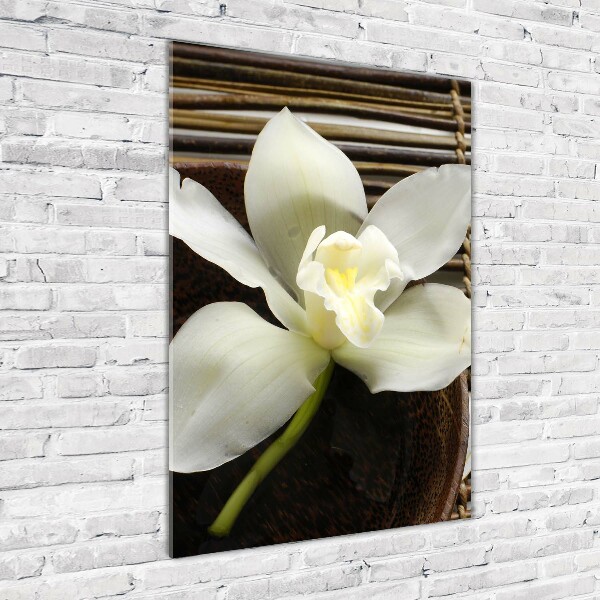 Glasbild vertikales Orchidee