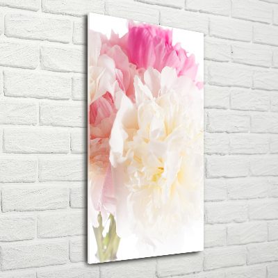 Bild aus glas vertikales Pfingstrose