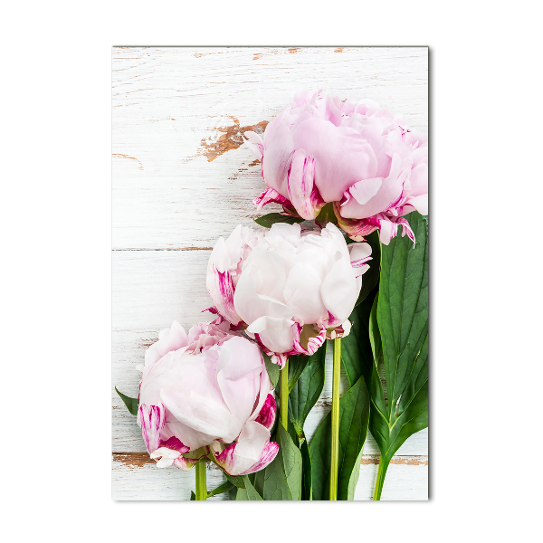 Foto auf glas vertikales Pfingstrose