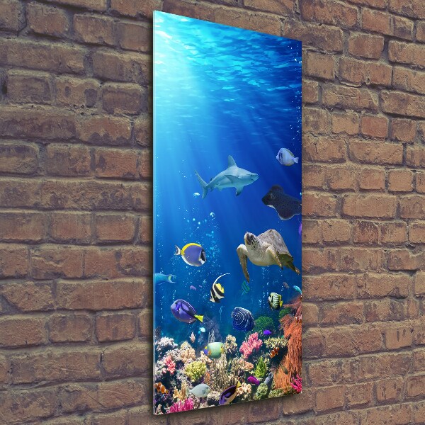 Glasbild vertikales Korallenriff
