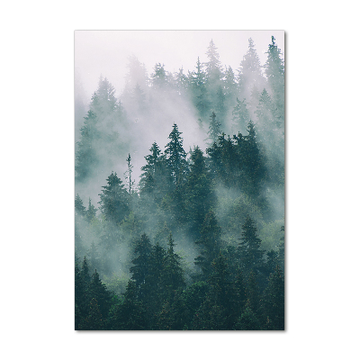 Glasbild vertikales Nebel über dem Wald