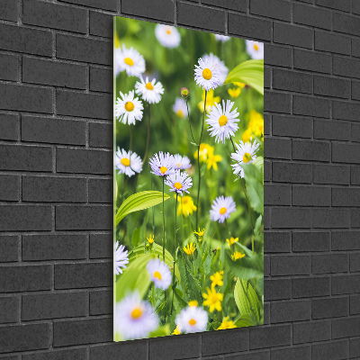 Glasbild vertikales Gänseblümchen