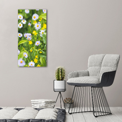 Glasbild vertikales Gänseblümchen