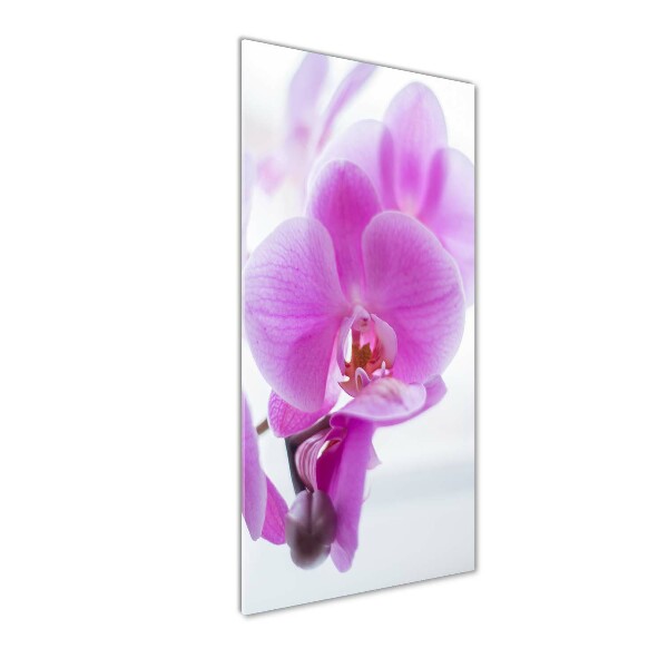 Glasbild vertikales Rosa Orchidee
