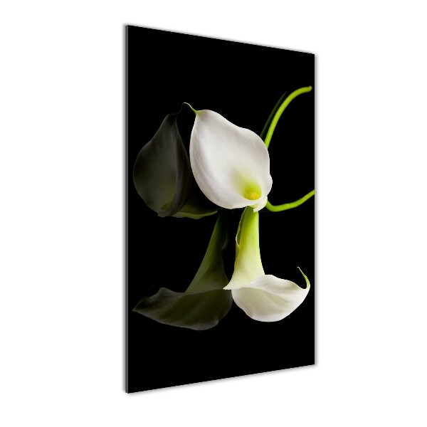 Glasbild vertikales Weiße Calla