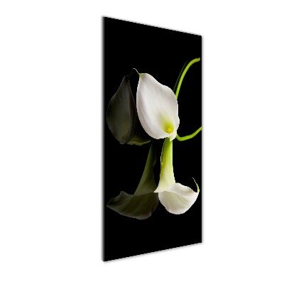 Glasbild vertikales Weiße Calla