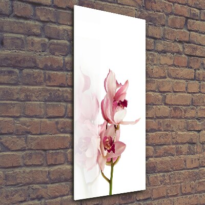 Foto auf glas vertikales Rosa Orchidee