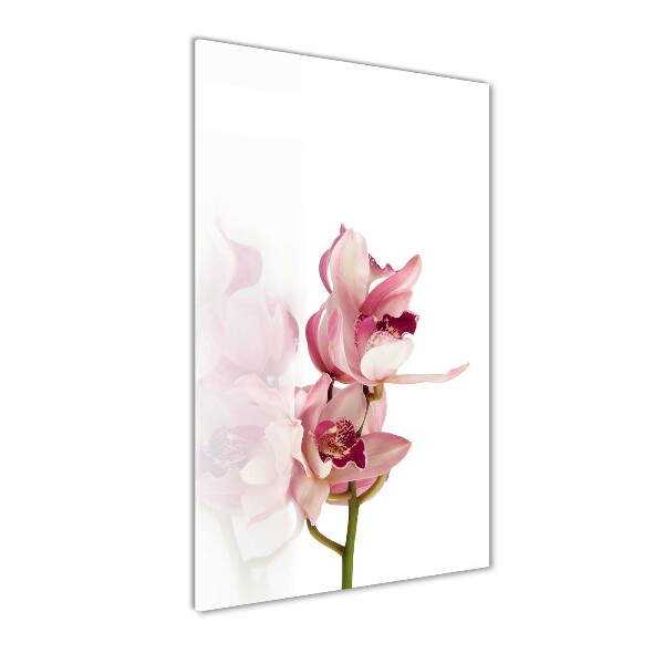 Foto auf glas vertikales Rosa Orchidee