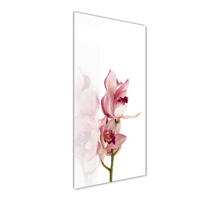 Foto auf glas vertikales Rosa Orchidee