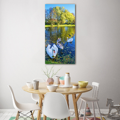 Glasbild vertikales Schwäne auf dem Teich