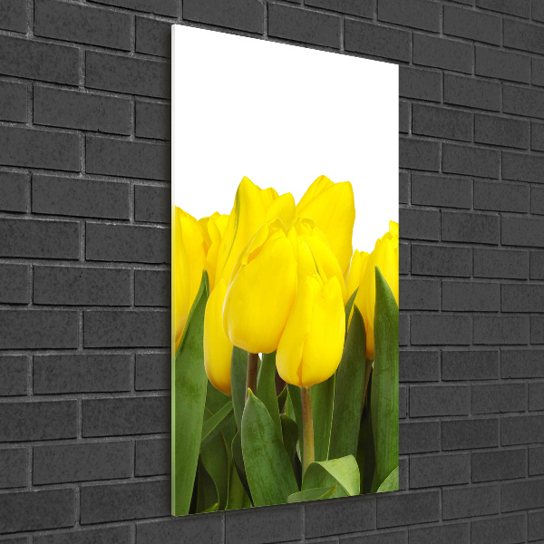 Glasbild vertikales Gelbe Tulpen
