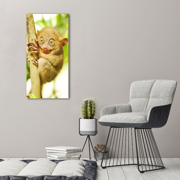 Foto auf glas vertikales Geisterkoboldmaki